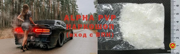 шишки Кодинск